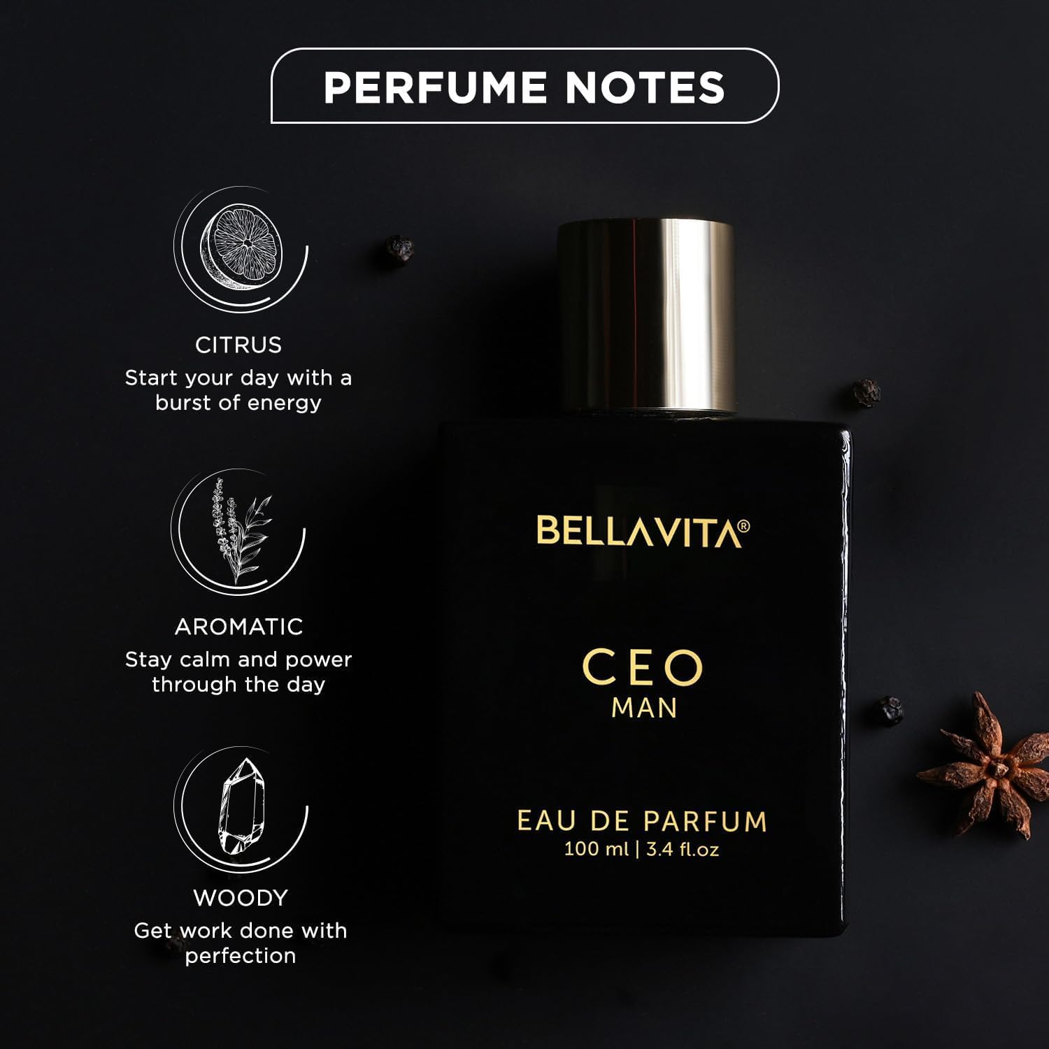 Bella Vita Luxury CEO MAN Perfume 100ml | Long Lasting | Eau De Parfum | Lemon, Lavender, Tonka, Mandarin & Vetiver | Woody, Citrus Premium Fragrance | Ideal Gift for Man - Image 3